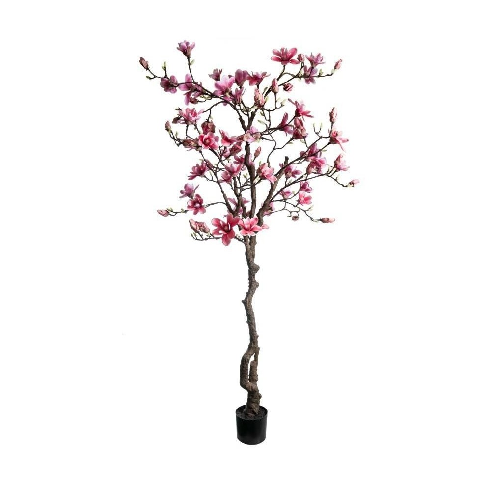 PIANTA DI MAGNOLIA CM210 PINK